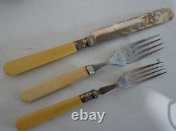 24 piece Antique Vintage Chromium Plated Cutlery Bone Oak Box Made in England