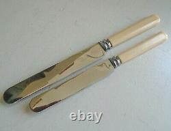 38 Piece Vintage Viners Oak Cutlery Canteen Faux Bone Handle Knives Silver Plate