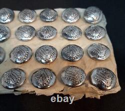 A Rare Set of Female Livery Buttons On Original Care. Silver Plate and 16mm