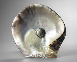 Antique 19th century mother of pearl oyster shell tazza dish silver plated stand