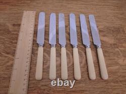 Antique ART DECO 50 Piece Silver Plate Faux Bone CUTLERY SET Viners Sheffield