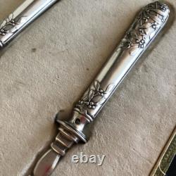 Antique Set Art nouveau France 19th Century Silver 950 Silver Plated Native Box