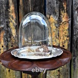 Antique Victorian Glass Cloche Dome Shop Display England Silver Plate Tray Mediu