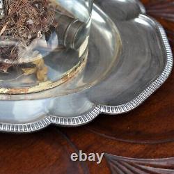 Antique Victorian Glass Cloche Dome Shop Display England Silver Plate Tray Mediu