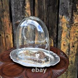 Antique Victorian Glass Cloche Dome Shop Display England Silver Plate Tray Mediu