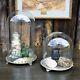 Antique Victorian Glass Cloche Dome Shop Display England Silver Plate Tray Pair