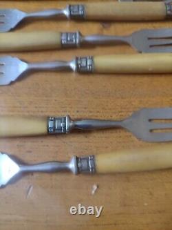 Beautiful Suite Eighteen Forks Cake Fourchon Stainless Ferrule silver plated