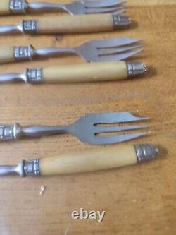 Beautiful Suite Eighteen Forks Cake Fourchon Stainless Ferrule silver plated