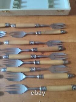 Beautiful Suite Eighteen Forks Cake Fourchon Stainless Ferrule silver plated