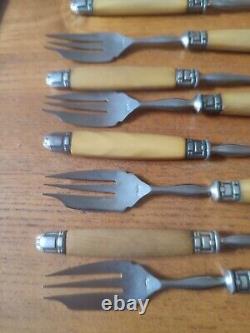 Beautiful Suite Eighteen Forks Cake Fourchon Stainless Ferrule silver plated