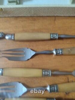 Beautiful Suite Eighteen Forks Cake Fourchon Stainless Ferrule silver plated