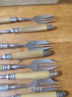 Beautiful Suite Eighteen Forks Cake Fourchon Stainless Ferrule silver plated