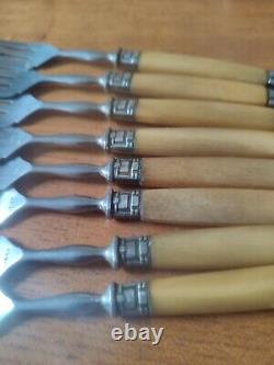 Beautiful Suite Eighteen Forks Cake Fourchon Stainless Ferrule silver plated