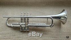 D. Calicchio DT-S1s/3M DAVE TRIGG Model, original case GAMONBRASS trumpet