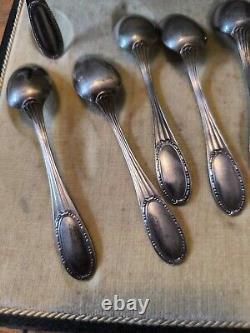 ERCUIS Jewel Case Twelve Spoons Coffee Mocha silver plated Pattern Rib And Beads