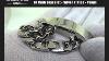 ID Curb Bracelet Silver Plated Men S 13mm