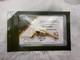 Investment Caster 24k Gold Plated S&W Schofield No. 3 10.7 Grams Pure Silver