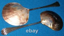 JAMES DIXON SILVER PLATED CAVIAR SERVING SPOONS in ORIGINAL FITTED CASE c1891 GC