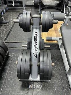 LIFE FITNESS OLYMPIC WEIGHT PLATE STORAGE RACK / TREE 50mm 2 inch WEIGHTS UK