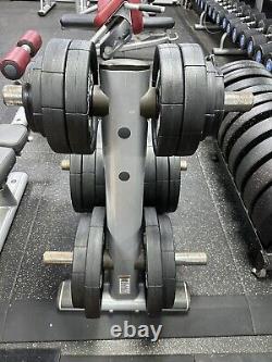 LIFE FITNESS OLYMPIC WEIGHT PLATE STORAGE RACK / TREE 50mm 2 inch WEIGHTS UK