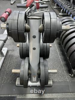 LIFE FITNESS OLYMPIC WEIGHT PLATE STORAGE RACK / TREE 50mm 2 inch WEIGHTS UK