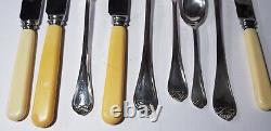 MID Century Teak Cutlery Canteen Silver Plated & Resin Faux Bone