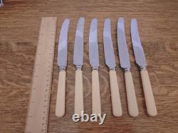 Pristine 49 Pc Silver Plate Faux Bone CUTLERY CANTEEN by John Taylor Sheffield