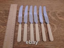 Pristine 49 Pc Silver Plate Faux Bone CUTLERY CANTEEN by John Taylor Sheffield