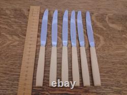 Pristine Vintage 50 Pc EPNS Faux Bone CUTLERY CANTEEN SET Viners Sheffield