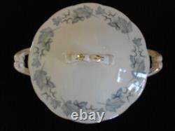 Royal Albert Silver Maple Bone China 15 Piece Dinner Set Plates Tureen Gravy B