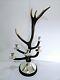 STUNNING Scottish Real Antler Silver Plated 9 point Candelabra 73 cm tall