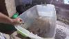 Silver Plate Experiment Part 2 Recovering Silver Without Chemicals We LL See How It Goes