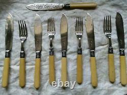 Silver Plated Bone Handle FISH Cutlery Eaters Decorative Knives Forks Hallmarked