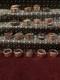 Spoon Ring Lot Of 18-Silver Plated & Stainless Steel Art Deco/Nouveau & More