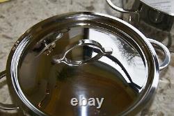 Spring Stainless Steel Shallow Casserole's set of Two