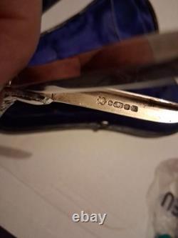 Stunning Antique Silver Plated Grape Shears in Original Box hallmarked silver