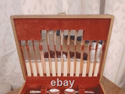 Superb Vintage 38 Pc EPNS Faux Bone CUTLERY CANTEEN SET Thos McCork Sheffield