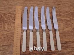 Superb Vintage 38 Pc EPNS Faux Bone CUTLERY CANTEEN SET Thos McCork Sheffield