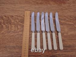 Superb Vintage 38 Pc EPNS Faux Bone CUTLERY CANTEEN SET Thos McCork Sheffield