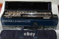 Trevor James Flute TJ10 cleaned & serviced with Original Box & Cloth Carry Bag