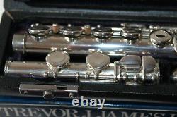 Trevor James Flute TJ10 cleaned & serviced with Original Box & Cloth Carry Bag