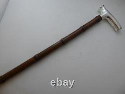 Victorian Vasta Case Walking Stick Cane Silver Plated Pommel Bamboo Shaft