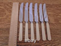 Vintage 46 Pc Silver Plate Faux Bone Cutlery Canteen Latham & Owen Sheffield