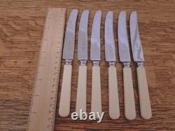 Vintage 46 Pc Silver Plate Faux Bone Cutlery Canteen Latham & Owen Sheffield