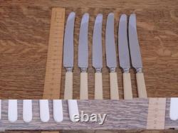 Vintage 47 Pc Silver Plate Faux Bone CUTLERY CANTEEN Made in Sheffield 1950s