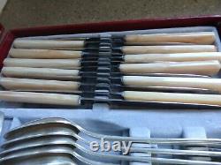 Vintage Art Deco French Apollo Silver Plated Cutlery Set 49 Pieces