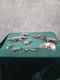 Vintage Old Antique Silver Plated decorative display Dog Breeds