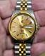 Vintage Rado Purple Horse 2 Tone Fluted Gold Dial Original 2878 ETA