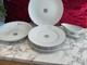 Vintage limoges france porcelain Dinner Plates 26cm Large One 29cm Unused 10 PCs